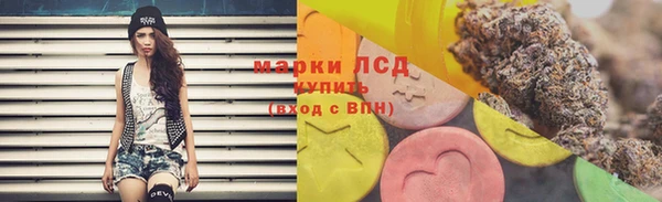 эйфоретик Алзамай